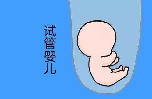 助孕全国招募孕妈志愿者